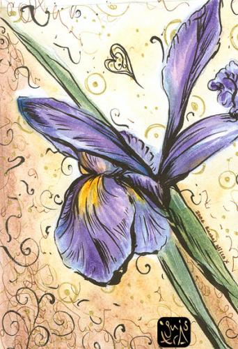 Iris