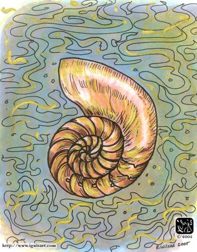 Shell